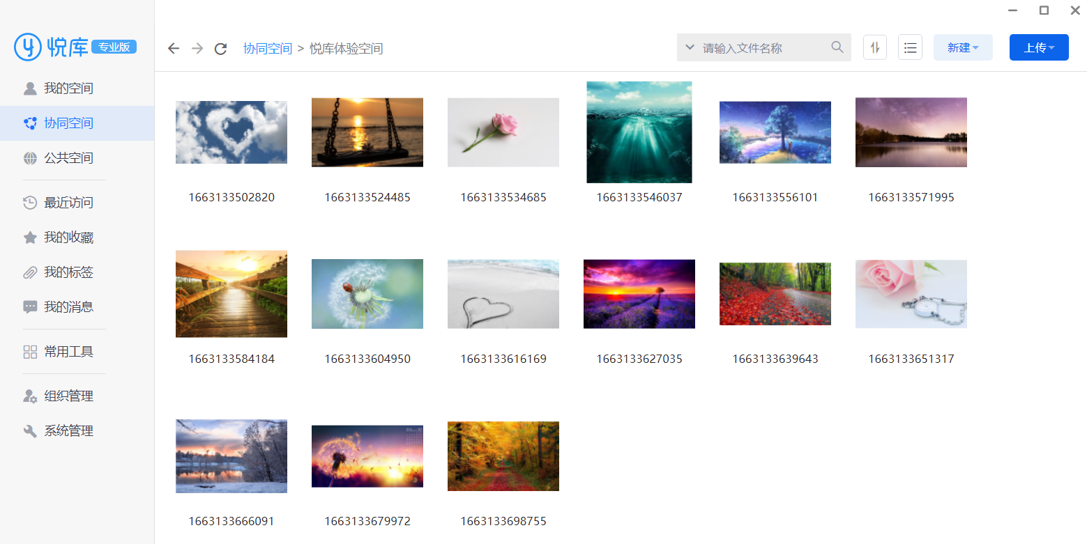 image-20230721132141997